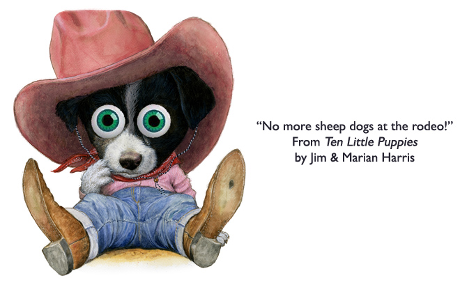 ‘No more sheep dogs at the rodeo!”  Border collie puppy from the children’s counting book, Ten Little Puppies.